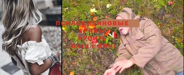 спайс Белокуриха