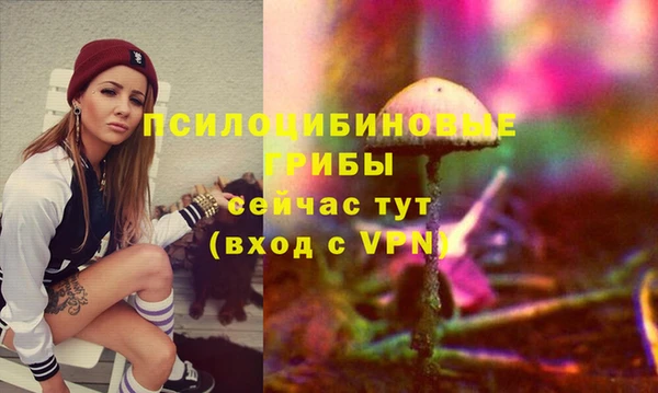 спайс Белокуриха