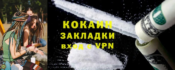 шишки Белоозёрский
