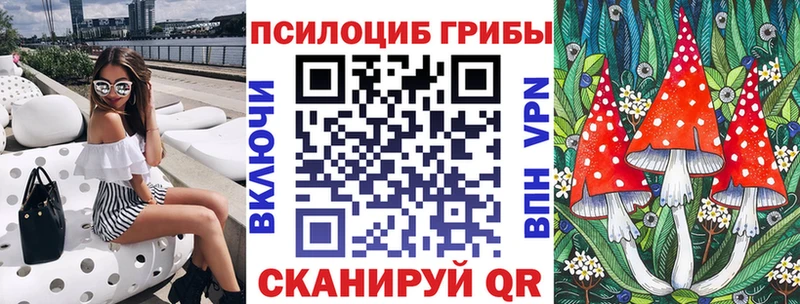 как найти Дмитровск Псилоцибиновые грибы GOLDEN TEACHER
